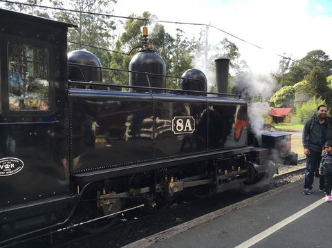 Yarra Valley Wineries And Puffing Billy Steam Train Tour From Melbourne - St Kilda Accommodation 13