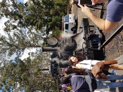Yarra Valley Wineries And Puffing Billy Steam Train Tour From Melbourne - St Kilda Accommodation 5