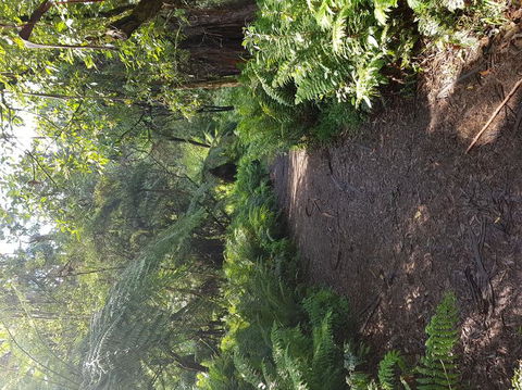 Yarra Valley Wineries And Puffing Billy Steam Train Tour From Melbourne - St Kilda Accommodation 9