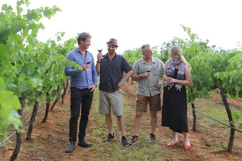 Yarra Valley Wineries And Puffing Billy Steam Train Tour From Melbourne - St Kilda Accommodation 29