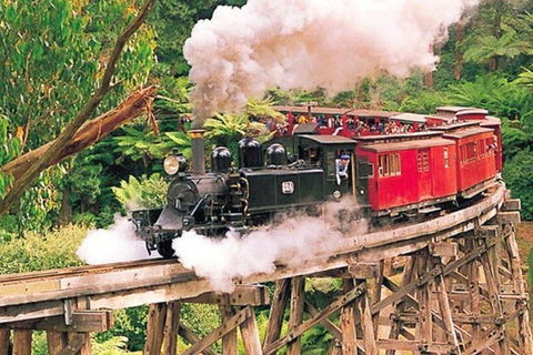 Yarra Valley Wineries And Puffing Billy Steam Train Tour From Melbourne - St Kilda Accommodation 33