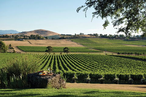 Small Group 6 Guests: Ultimate Yarra Valley Food And Wine - Mercedes Van - St Kilda Accommodation 5