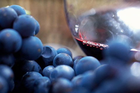 Small Group 6 Guests: Ultimate Yarra Valley Food And Wine - Mercedes Van - St Kilda Accommodation 4