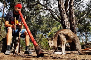Bellarine Peninsula Sightseeing and Bay Cruise