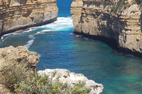Adventure Sunset Three Day Great Ocean Road Tour - St Kilda Accommodation 27