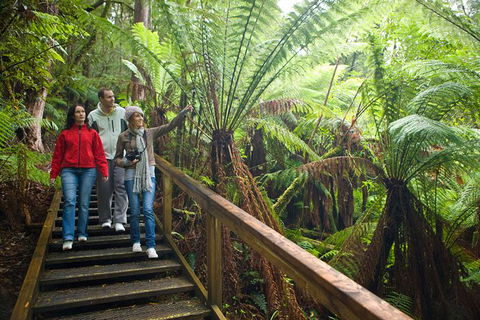 Adventure Sunset Three Day Great Ocean Road Tour - St Kilda Accommodation 13