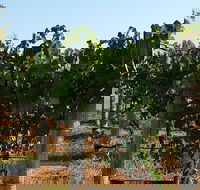 Wine Tasting Tour in The Yarra Valley - St Kilda Accommodation