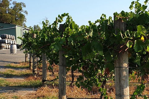 Wine Tasting Tour In The Yarra Valley - St Kilda Accommodation 0