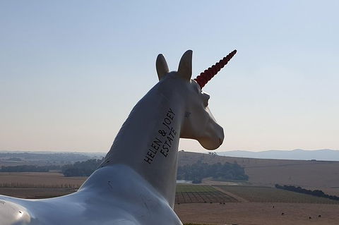 Wine Tasting Tour In The Yarra Valley - St Kilda Accommodation 5