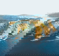 3-Hour Tasman Peninsula Wilderness Cruise from Port Arthur - St Kilda Accommodation