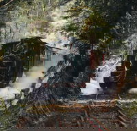 West Coast Wilderness Railway River and Rainforest from Strahan - St Kilda Accommodation