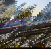 West Coast Wilderness Railway Queenstown Explorer from Strahan - St Kilda Accommodation