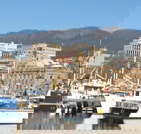 Private Mt Wellington Richmond Bonorong Wildlife Sanctuary Tour from Hobart - St Kilda Accommodation