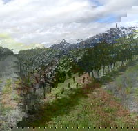 Coal River Valley  Hobart food  wine grazing tour - St Kilda Accommodation