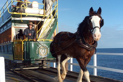 Full-Day Tour In South Australia Highlights - St Kilda Accommodation 2