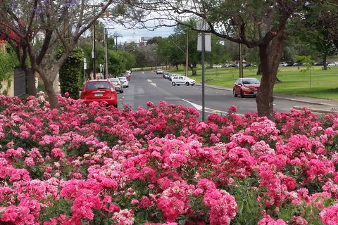 Adelaide Walking Tour: Hills, Squares And Parklands - St Kilda Accommodation 6