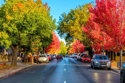 Adelaide City Highlights With Hahndorf And Mt. Lofty - St Kilda Accommodation 7