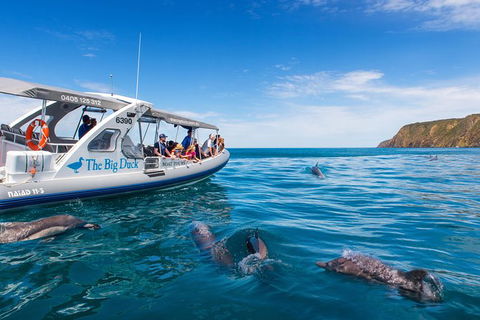 Victor Harbor And McLaren Vale Wine Region Day Tour - St Kilda Accommodation 6