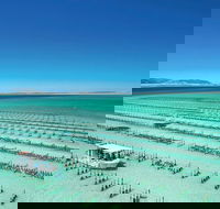 Coffin Bay Day Tour - A Taste of Coffin Bay - St Kilda Accommodation