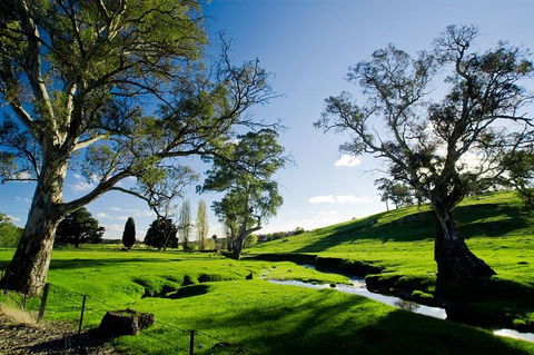 Adelaide Highlights And Hahndorf Tour With Optional River Cruise - St Kilda Accommodation 0