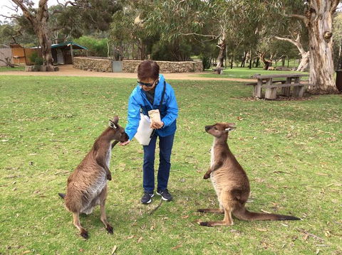 Adelaide Highlights And Hahndorf Tour With Optional River Cruise - St Kilda Accommodation 3