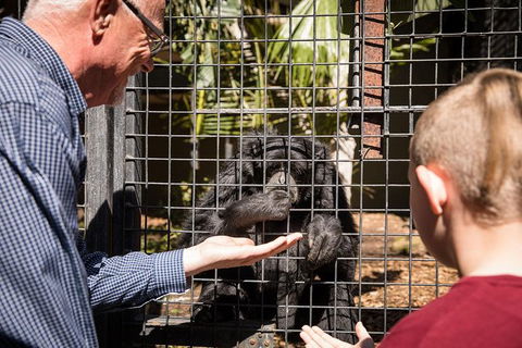 Adelaide Zoo Behind The Scenes Experience: Meet The Primates - St Kilda Accommodation 1
