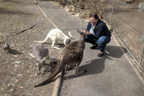 A Taste Of Adelaide And Hahndorf By Car Private Tour. - St Kilda Accommodation 8