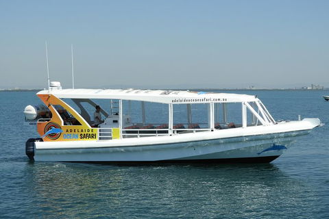 Adelaide Ocean Safari - Wild Dolphin Safari - St Kilda Accommodation 0
