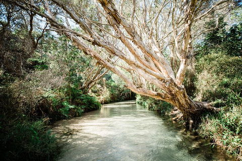 All-Inclusive 2-Day Fraser Island Tour - St Kilda Accommodation 11
