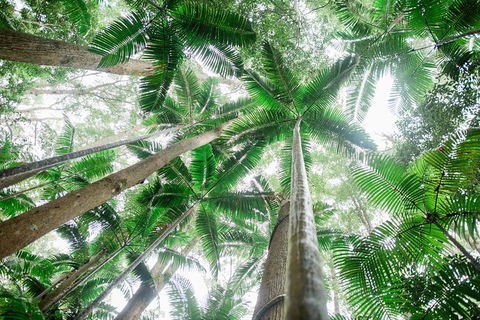 All-Inclusive 2-Day Fraser Island Tour - St Kilda Accommodation 8