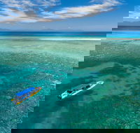 Ocean Safari Great Barrier Reef Experience in Cape Tribulation - St Kilda Accommodation