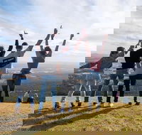 Full Day Mount Tamborine Winery Tour from Gold Coast - St Kilda Accommodation