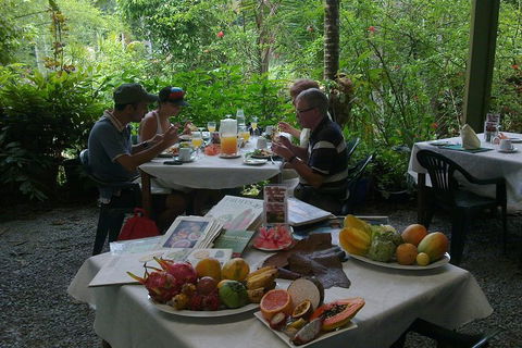 Cairns Reef And Rainforest Combo: Daintree Rainforest And The Great Barrier Reef - St Kilda Accommodation 3