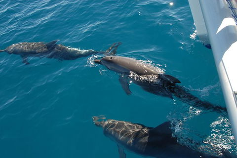 Fraser Island & Dolphin Sailing Adventure - St Kilda Accommodation 0