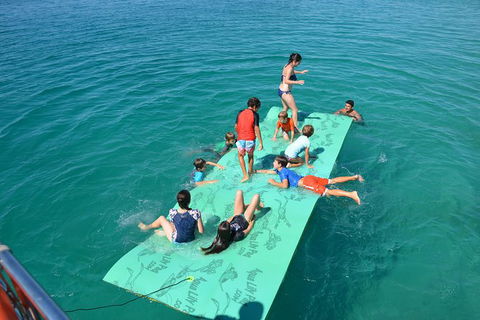 Fraser Island & Dolphin Sailing Adventure - St Kilda Accommodation 6