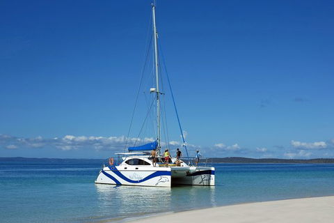 Fraser Island & Dolphin Sailing Adventure - St Kilda Accommodation 7