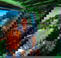 Skyrail Rainforest Cableway Day Trip from Palm Cove - St Kilda Accommodation