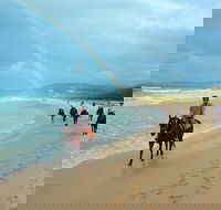 Rainbow Beach Horse Ride - St Kilda Accommodation