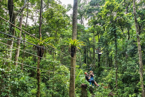 Cape Tribulation And Jungle Surfing Adventure Day From Port Douglas - St Kilda Accommodation 0