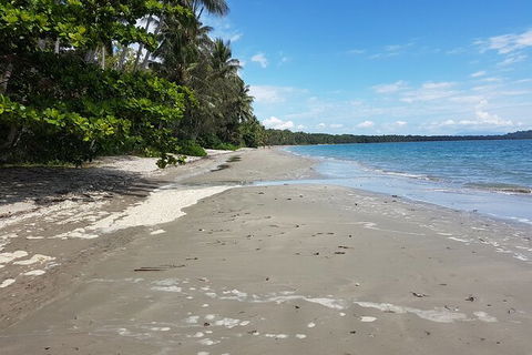 Airport Transfers Between Cairns Airport And Port Douglas - St Kilda Accommodation 4