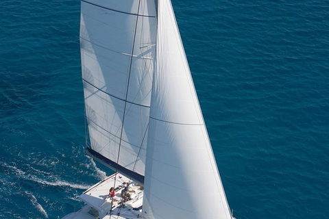 Afternoon Low Isles Snorkeling And Sailing Cruise From Port Douglas - St Kilda Accommodation 1