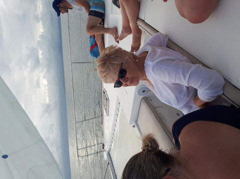 Afternoon Low Isles Snorkeling And Sailing Cruise From Port Douglas - St Kilda Accommodation 5