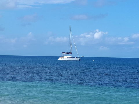 Afternoon Low Isles Snorkeling And Sailing Cruise From Port Douglas - St Kilda Accommodation 7