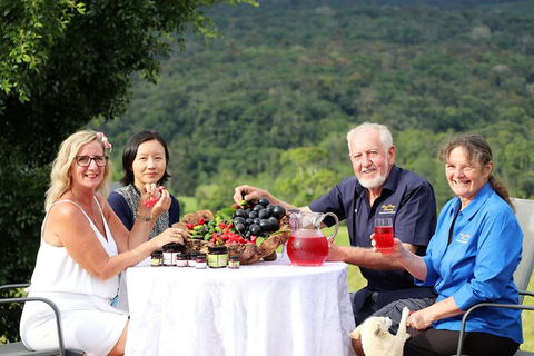 Atherton Tablelands Small-Group Food & Wine Tasting Tour From Port Douglas - St Kilda Accommodation 17