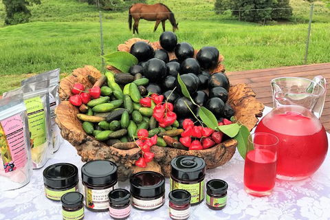 Atherton Tablelands Small-Group Food & Wine Tasting Tour From Port Douglas - St Kilda Accommodation 12