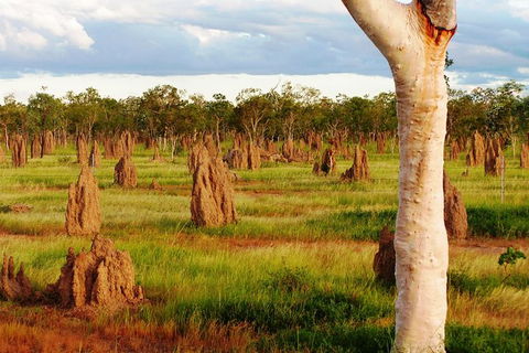 Atherton Tablelands Small-Group Food & Wine Tasting Tour From Port Douglas - St Kilda Accommodation 18