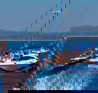 Blue Dolphin Exclusive Whale Watch Encounters - St Kilda Accommodation