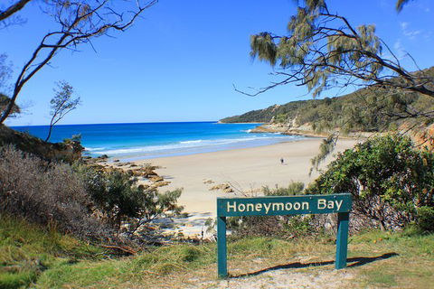 Fraser & Moreton Island 3-Day Scenic 4WD ECO Tour From Brisbane Or Gold Coast - St Kilda Accommodation 0