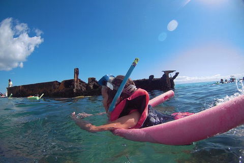 All Inclusive Dolphin And Tangalooma Wrecks Cruise Departing Gold Coast - St Kilda Accommodation 1