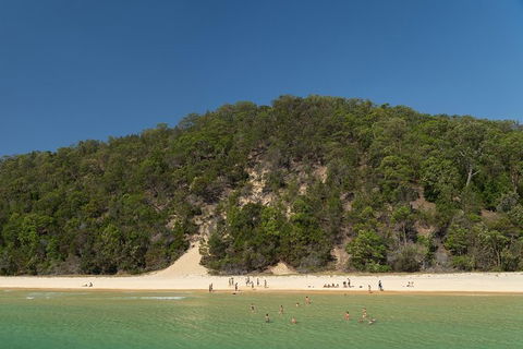 All Inclusive Dolphin And Tangalooma Wrecks Cruise Departing Gold Coast - St Kilda Accommodation 3